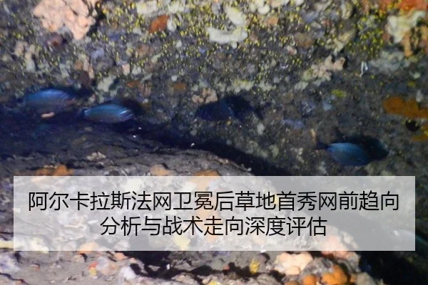 阿尔卡拉斯法网卫冕后草地首秀网前趋向分析与战术走向深度评估