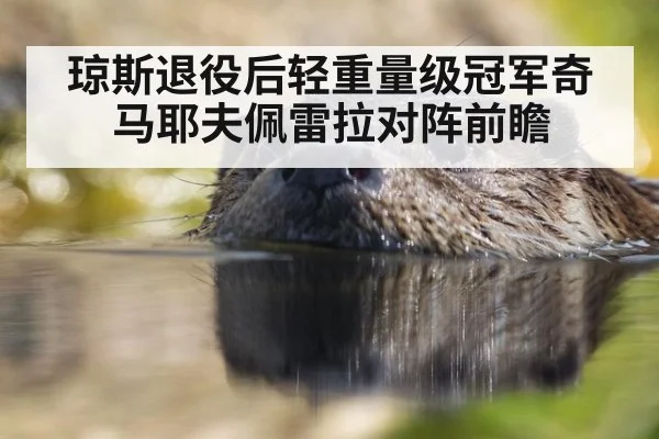 琼斯退役后轻重量级冠军奇马耶夫佩雷拉对阵前瞻
