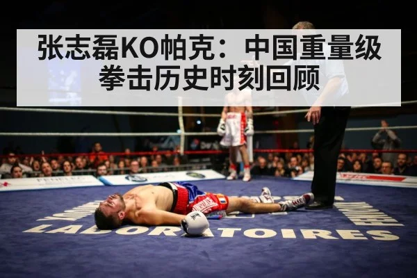 张志磊KO帕克:中国重量级拳击历史时刻回顾